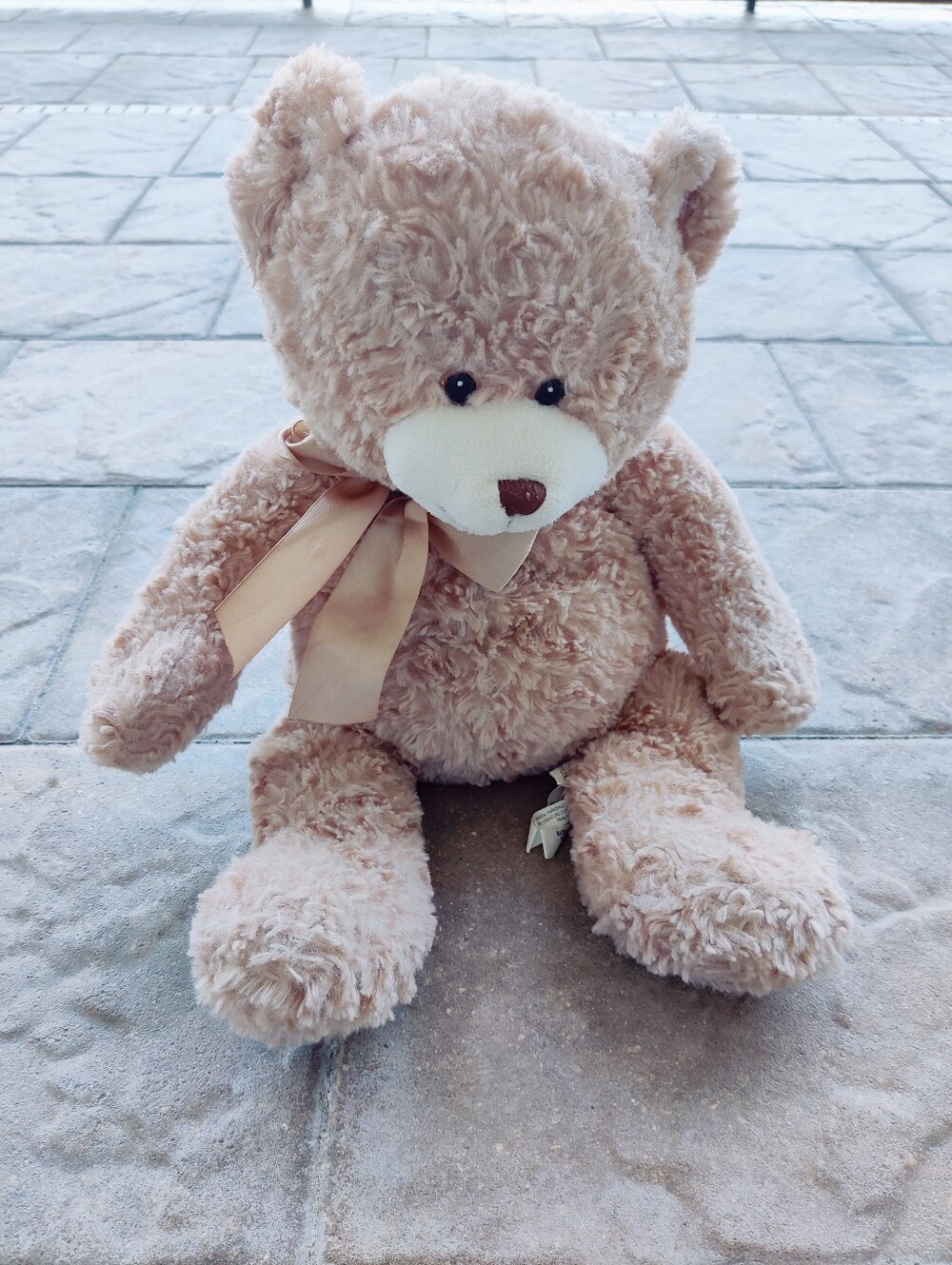 Vintage Shaggy Light Brown Bear